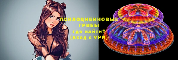 ГАЛЛЮЦИНОГЕННЫЕ ГРИБЫ Армянск
