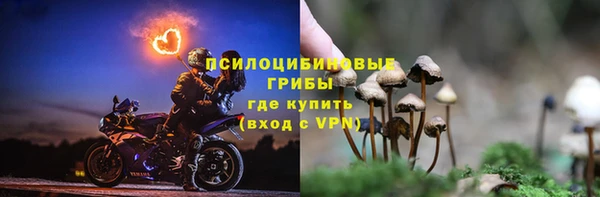 гидропоника Арсеньев