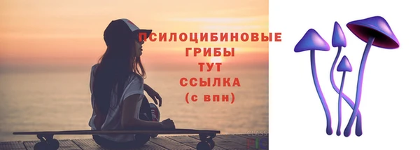 молекула духа Аркадак
