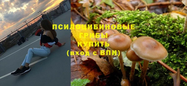 гидропоника Арсеньев
