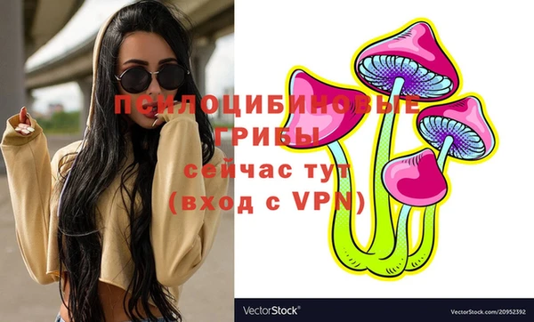 ГАЛЛЮЦИНОГЕННЫЕ ГРИБЫ Армянск