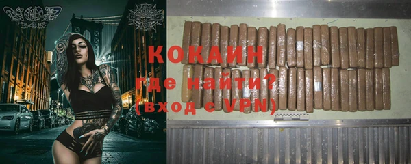 дмт Протвино
