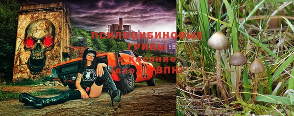 молекула духа Аркадак